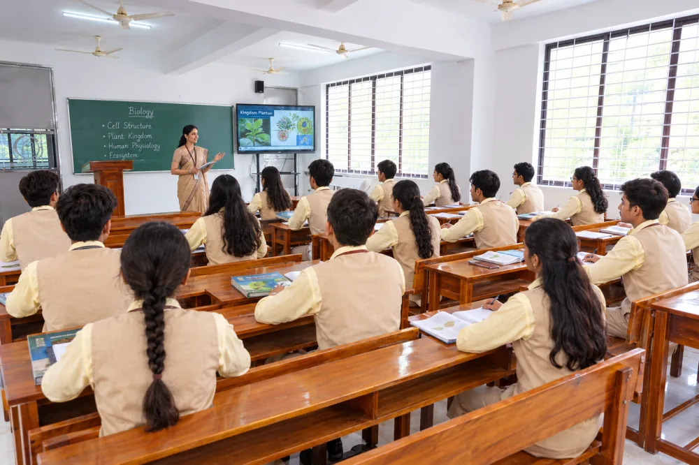 Our Courses